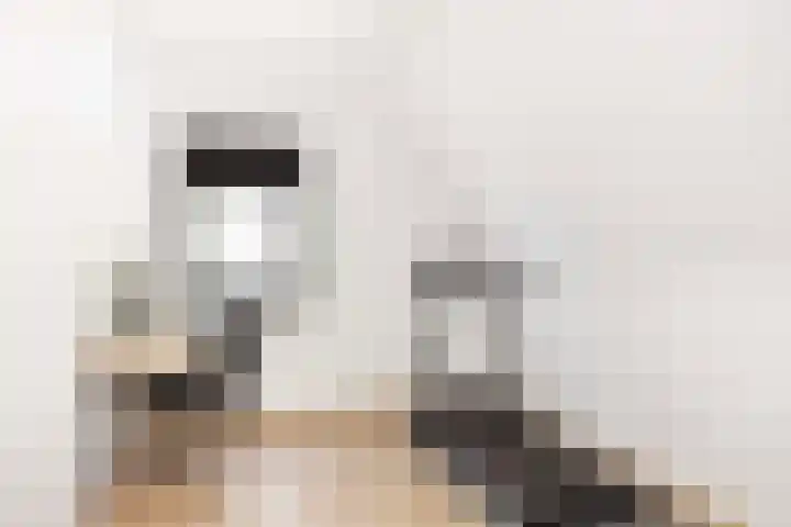 Borgharen 15 Hengelo thumbnail 28