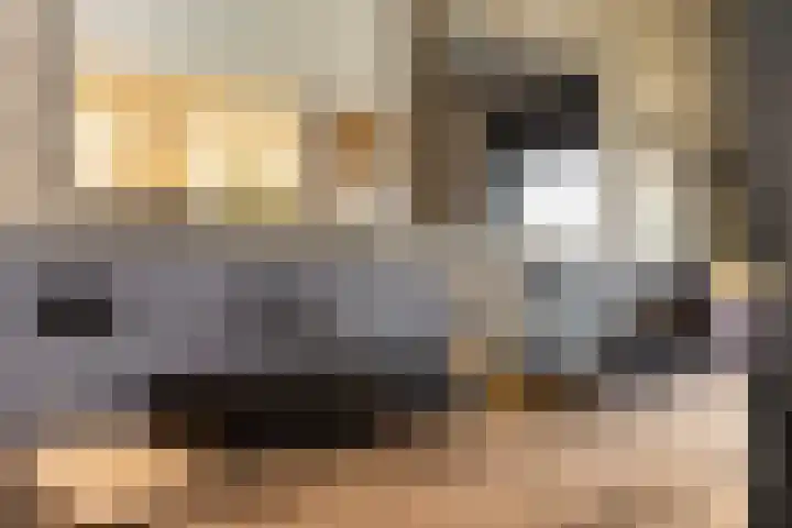 Borgharen 15 Hengelo thumbnail 31