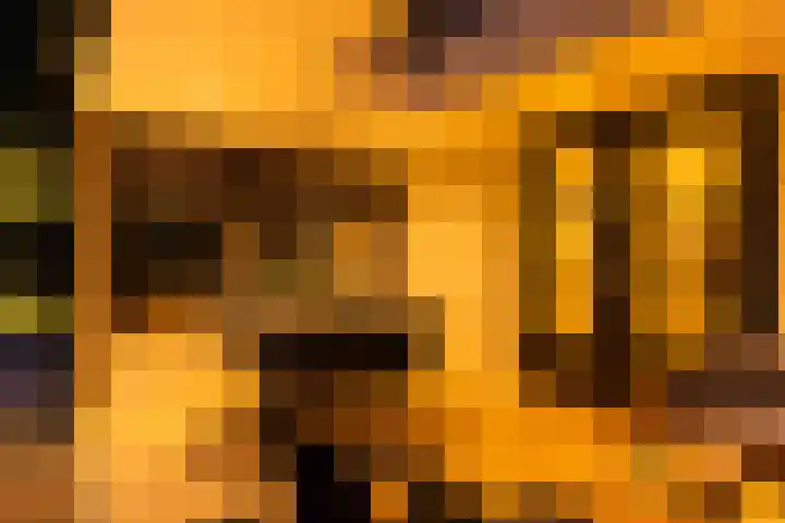 Borgharen 15 Hengelo thumbnail 37