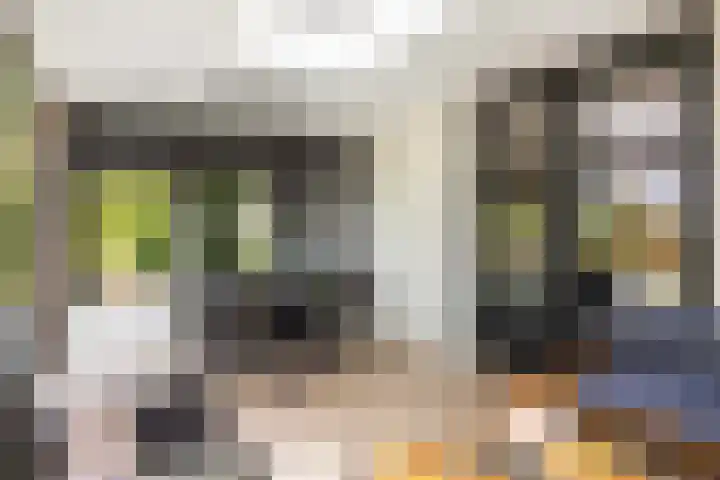 Borgharen 15 Hengelo thumbnail 38