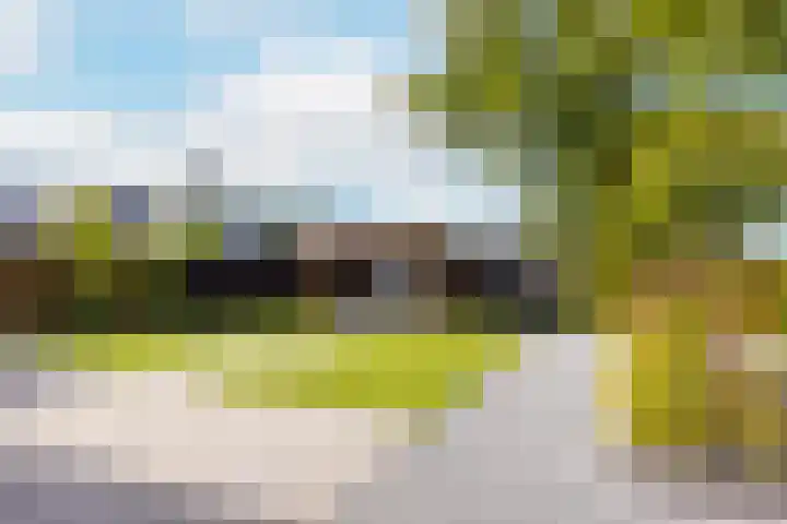Borgharen 15 Hengelo thumbnail 50