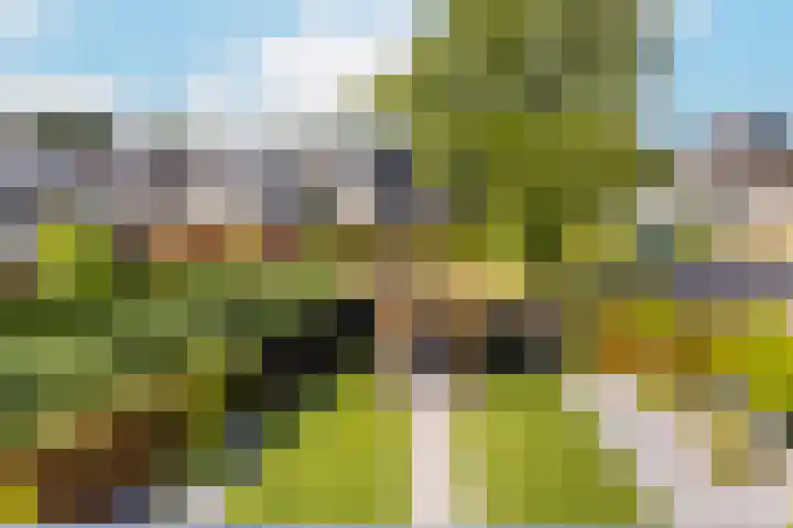 Borgharen 15 Hengelo thumbnail 52