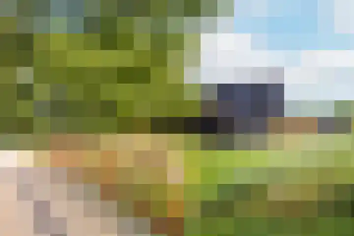 Borgharen 15 Hengelo thumbnail 53