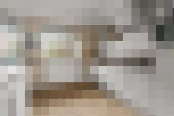 Borgharenpad 15 Arnhem thumbnail 10
