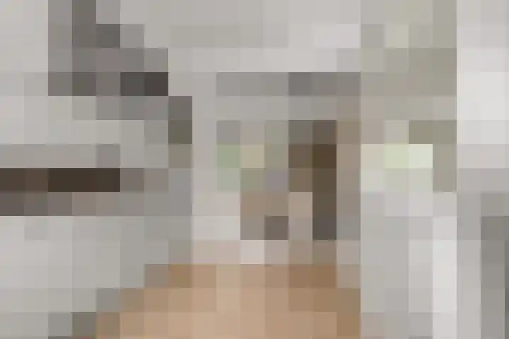 Borgharenpad 15 Arnhem thumbnail 12