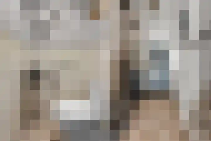 Borgharenpad 15 Arnhem thumbnail 14