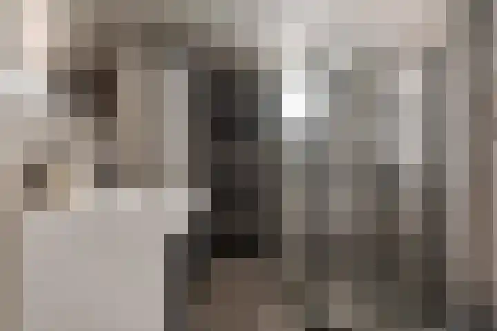 Borgharenpad 15 Arnhem thumbnail 24