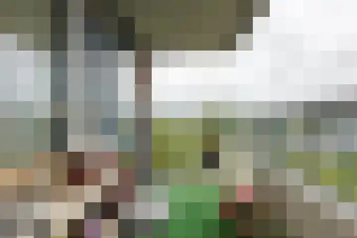 Borgharenpad 15 Arnhem thumbnail 25