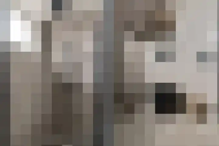 Borgharenpad 15 Arnhem thumbnail 26