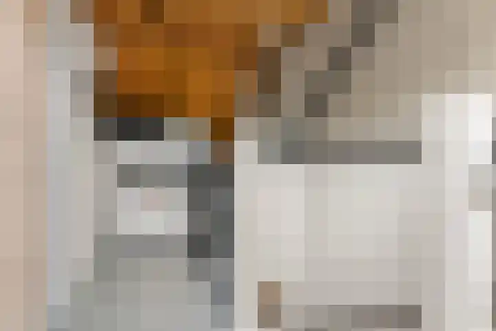 Borgharenpad 15 Arnhem thumbnail 32