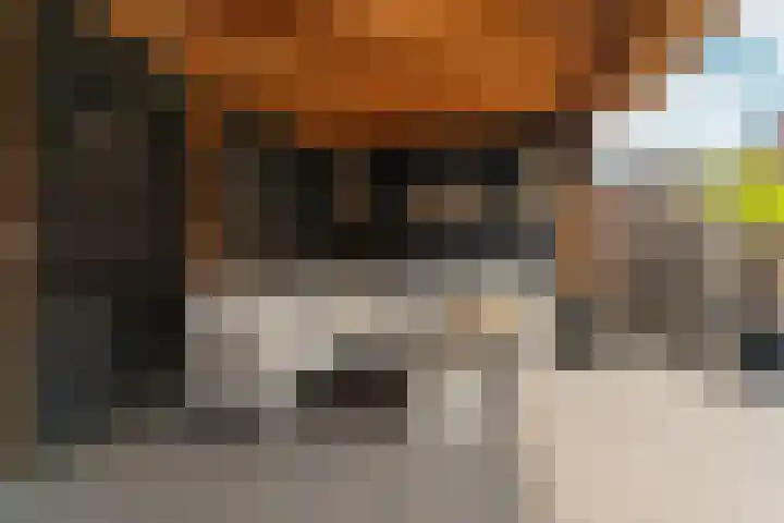 Borgharenpad 15 Arnhem thumbnail 37