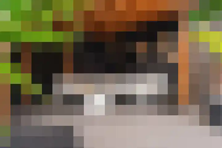 Borgharenpad 15 Arnhem thumbnail 39