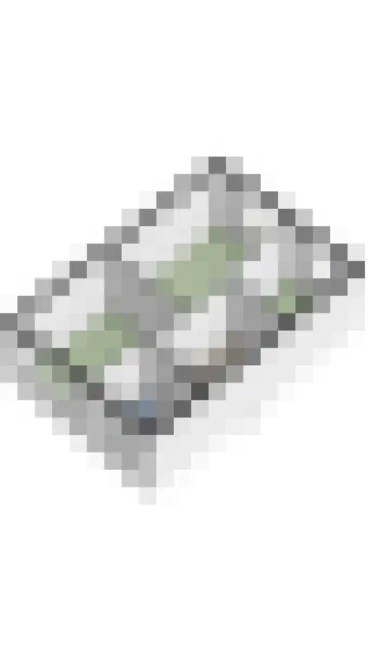 Borgharenpad 15 Arnhem thumbnail 43