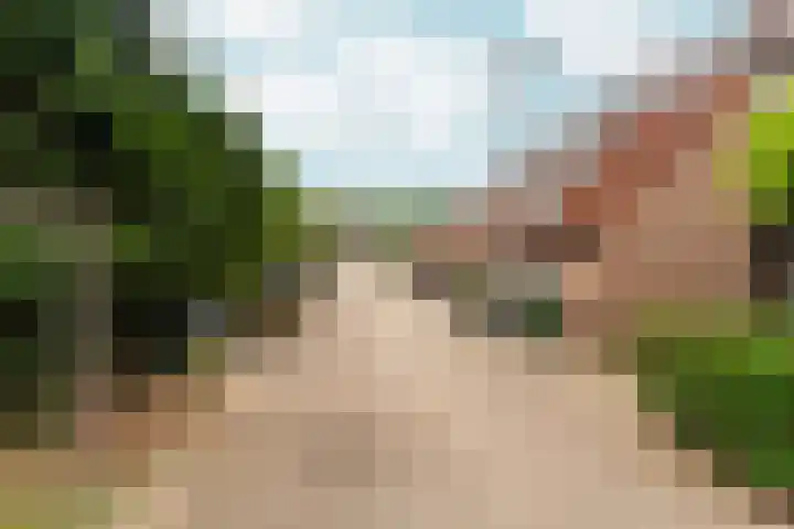 Borgharenpad 15 Arnhem thumbnail 52