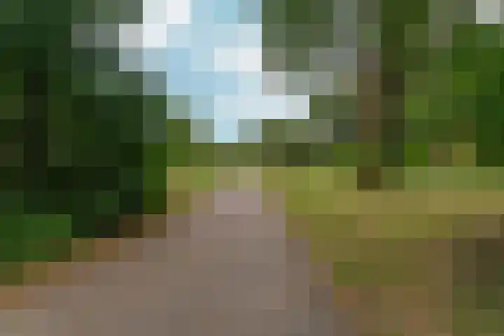 Borgharenpad 15 Arnhem thumbnail 54