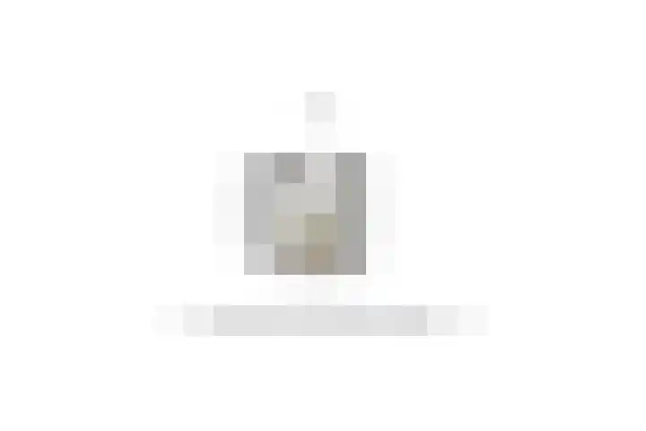 Borgharenpad 15 Arnhem thumbnail 60