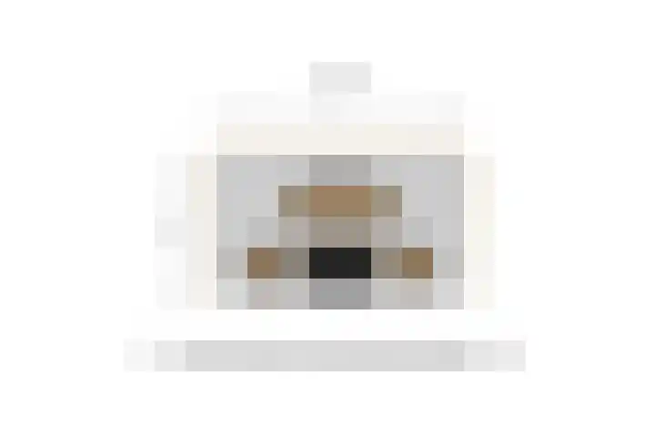 Borgharenpad 15 Arnhem thumbnail 61