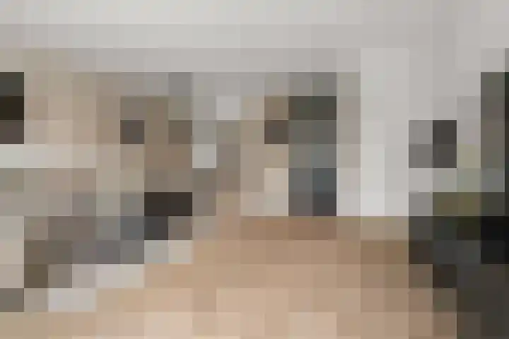 Borgharenpad 15 Arnhem thumbnail 7