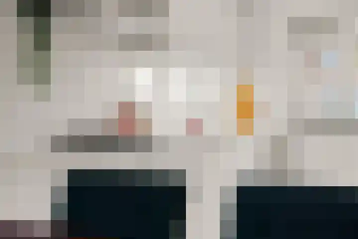 Borgharenpad 9 Arnhem thumbnail 12