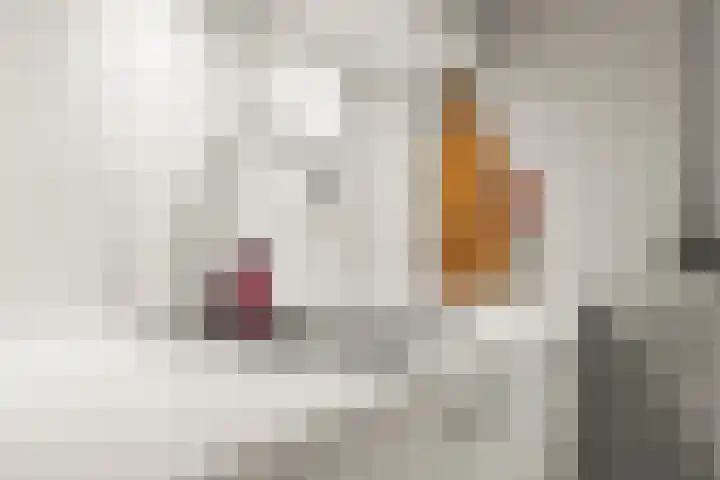 Borgharenpad 9 Arnhem thumbnail 13