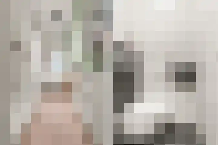 Borgharenpad 9 Arnhem thumbnail 16