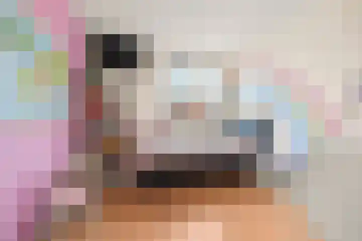 Borgharenpad 9 Arnhem thumbnail 19