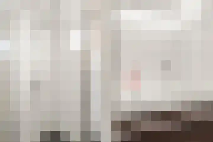 Borgharenpad 9 Arnhem thumbnail 28