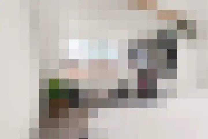 Borgharenpad 9 Arnhem thumbnail 34