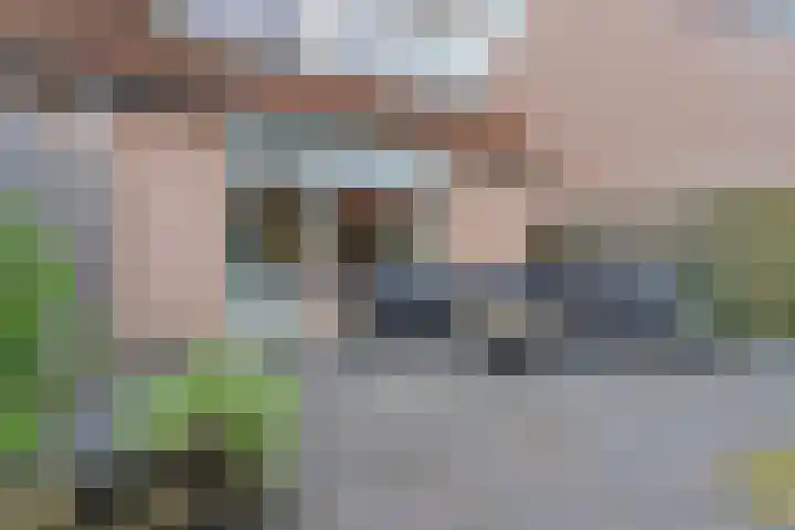 Borgharenpad 9 Arnhem thumbnail 39
