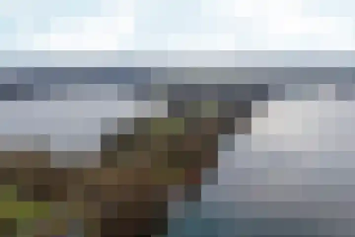 Borgharenpad 9 Arnhem thumbnail 53