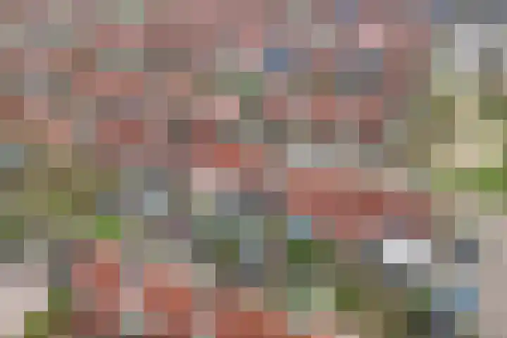 Borgharenpad 9 Arnhem thumbnail 56