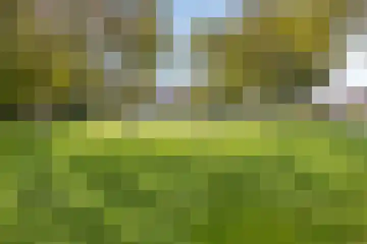Borghesepark 109 Purmerend thumbnail 37