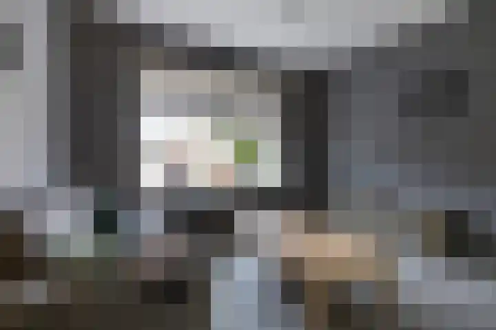 Borghoornsweg 10 Annen thumbnail 14