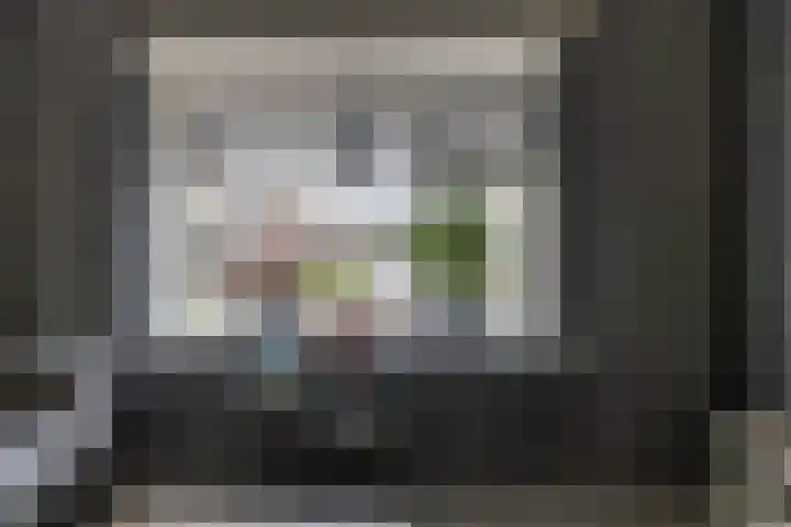 Borghoornsweg 10 Annen thumbnail 16
