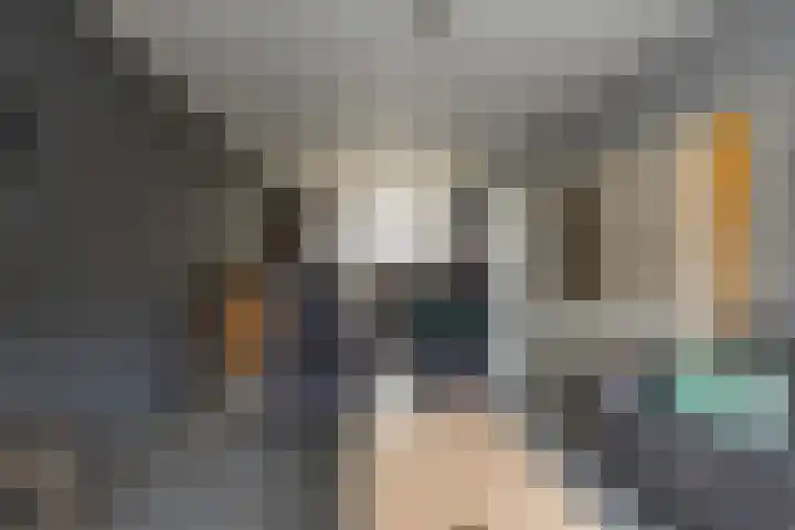 Borghoornsweg 10 Annen thumbnail 17