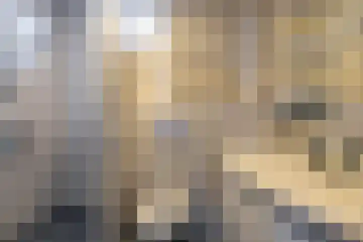 Borghoornsweg 10 Annen thumbnail 22