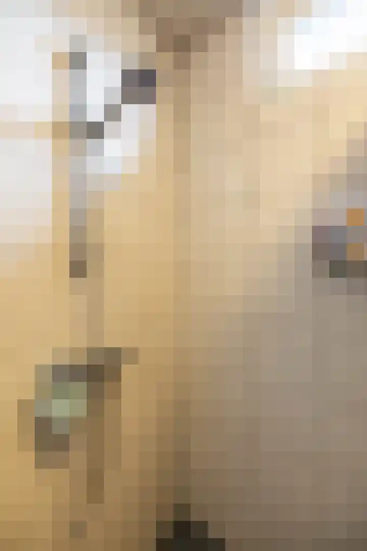 Borghoornsweg 10 Annen thumbnail 23