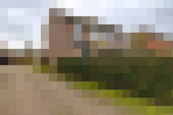 Borghoornsweg 10 Annen thumbnail 36