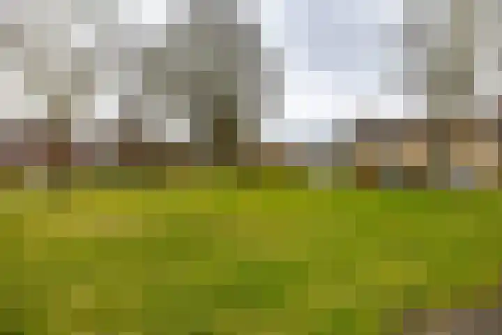 Borghoornsweg 10 Annen thumbnail 37