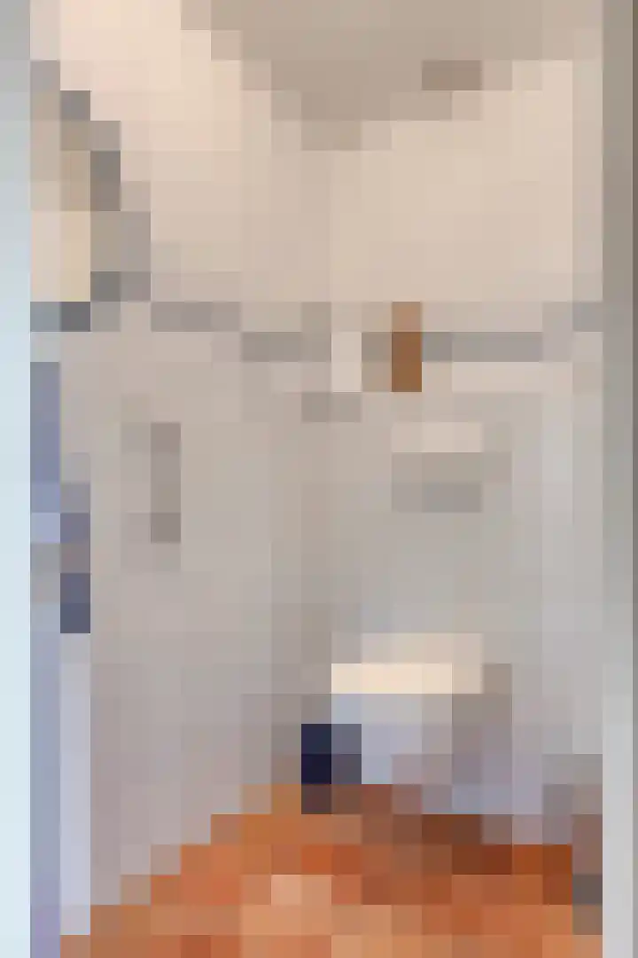 Borghoornsweg 12 Annen thumbnail 11