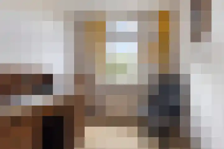 Borghoornsweg 12 Annen thumbnail 19