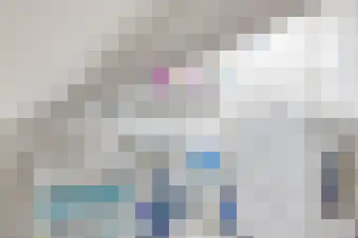Borghoornsweg 12 Annen thumbnail 24