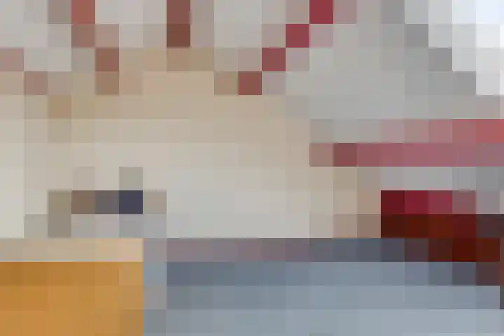 Borghoornsweg 12 Annen thumbnail 25