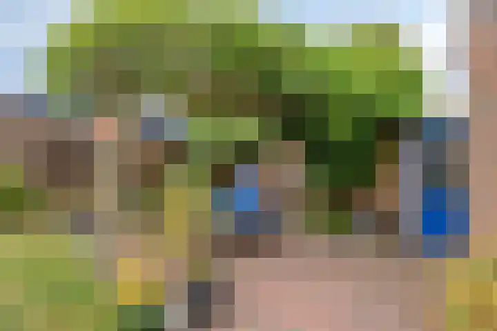 Borghoornsweg 12 Annen thumbnail 30