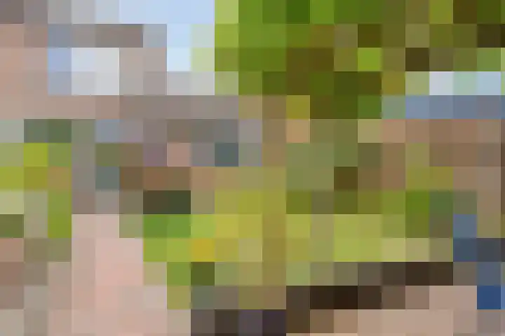 Borghoornsweg 12 Annen thumbnail 31