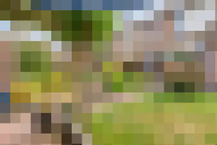 Borghoornsweg 12 Annen thumbnail 32