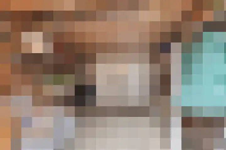 Borghoornsweg 12 Annen thumbnail 34