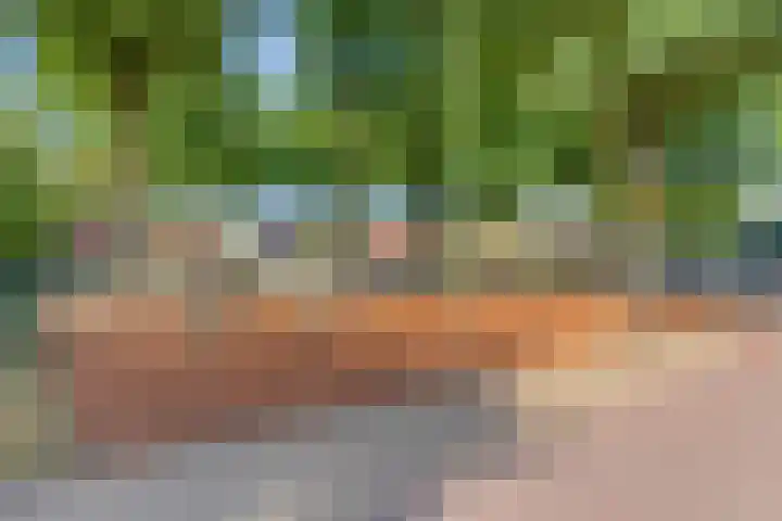 Borghoornsweg 12 Annen thumbnail 37