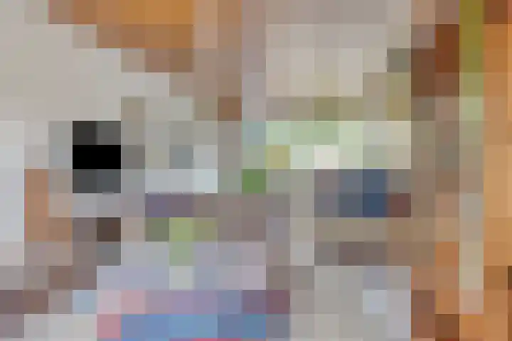 Borghoornsweg 12 Annen thumbnail 5