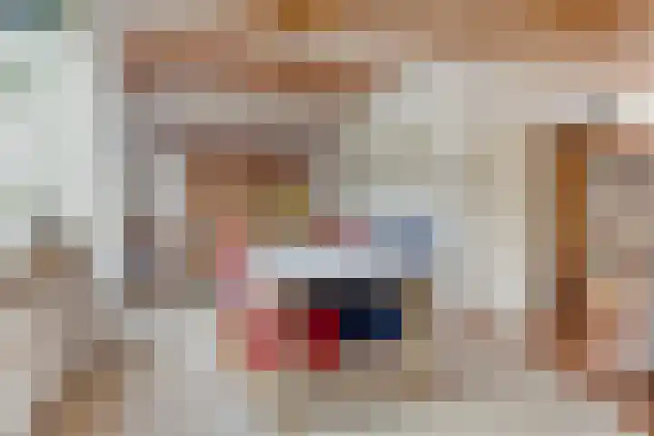 Borghoornsweg 12 Annen thumbnail 6
